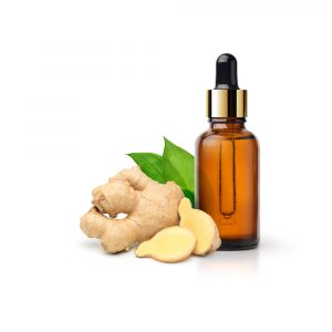 Ginger Essential Oil
